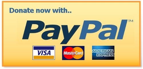 image-528183-donate-with-paypallogo.jpg